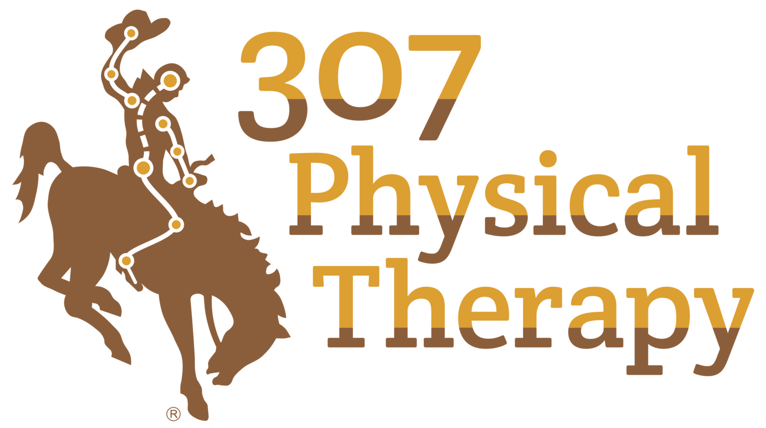 307^MPhysical^MTherapy^Mlogo^Mfinal.png